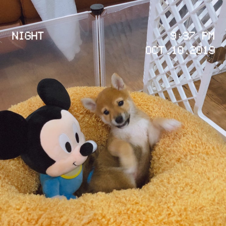  10월7일~10월10일