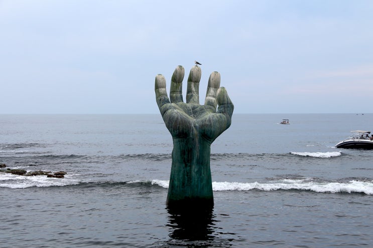  경북 포항 호미곶(虎尾串)