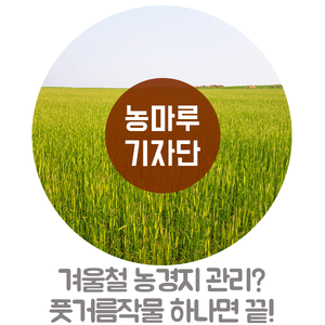  겨울철 농경지 관리? 풋거름작물 하나면 끝!