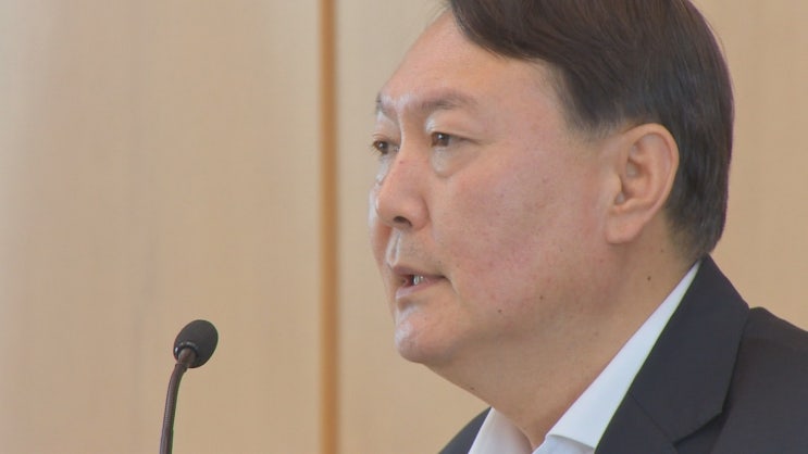  하어영 윤석열 별장접대 동거녀 증인