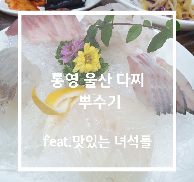  [통영존맛탱] 울산다찌 뿌수기!