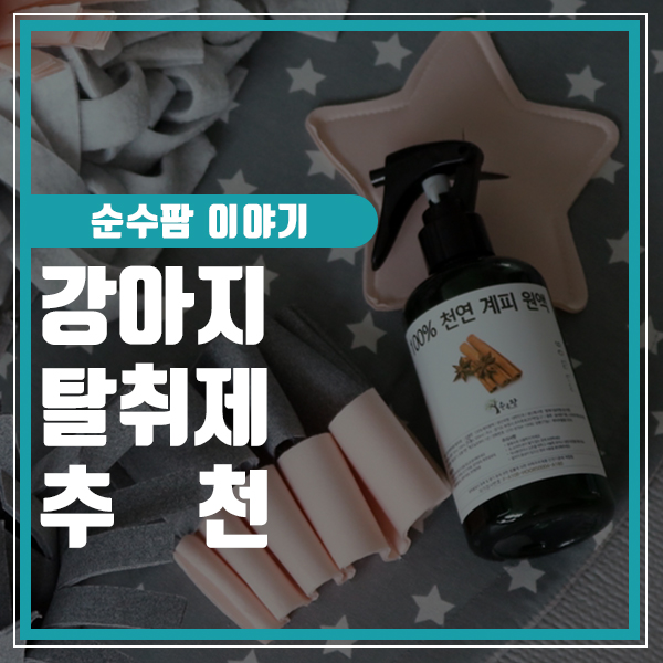  강아지 탈취제 추천 순수팜에서!