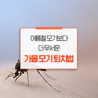  여름철 모기보다 더 무서운 가을 모기 퇴치법!