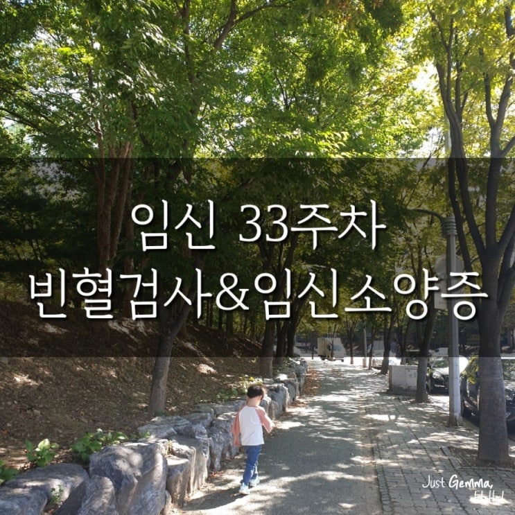  봄이일기 :: 임신 33주차 / 빈혈검사, 백일해 예방접종, 임신소양증 치료