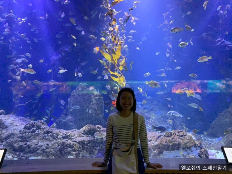 스페인 여행일기 7: 발렌시아 여행 1일차! (시티투어, 발렌시아 중앙시장, 오세아노그래픽, CAC, 빠에야) 스페인 여행일기 7: 발렌시아 여행 1일차! (시티투어, 발렌시아 중앙시장, 오세아노그래픽, CAC, 빠에야)