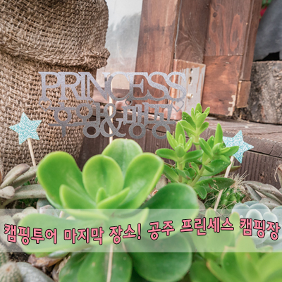  대전/세종 근교 캠핑장 공주 프린세스에서 전국 캠핑투어 휴가를 끝내다