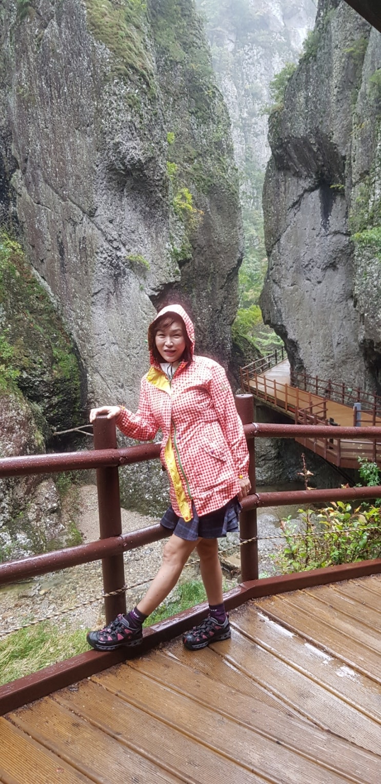  [태풍 미탁이 와도  청송 주왕산  잘 다녀 왔어요]