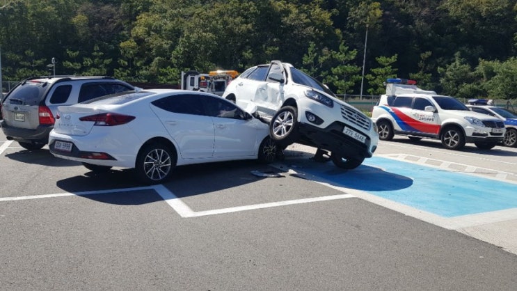 포항렉카