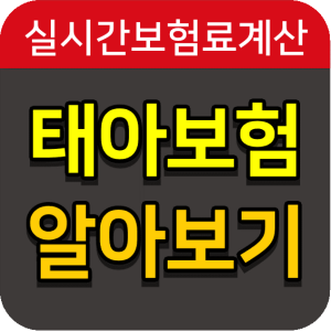  메리츠화재 태아보험 통해 출산 준비 시작하기