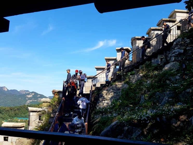  아내의 병실