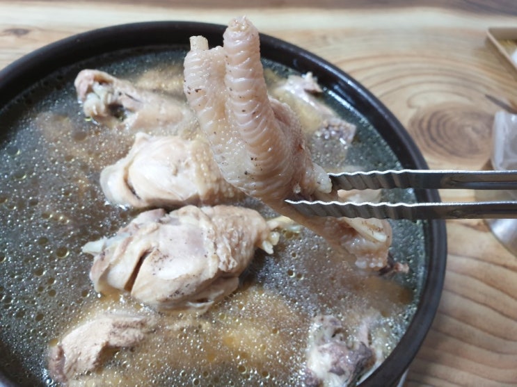  강원도 인제 맛집 깊은 맛의 능이버섯백숙!