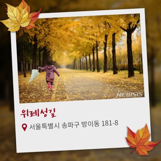  가을 정취 가득한 국내 단풍 길 7