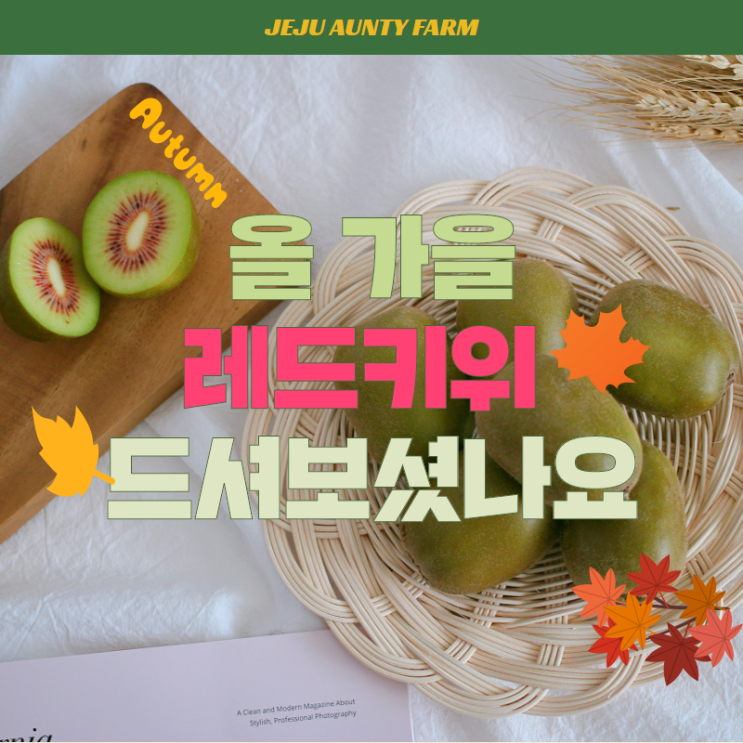  10월 제철과일 레드키위는 골드키위보다 맛있어