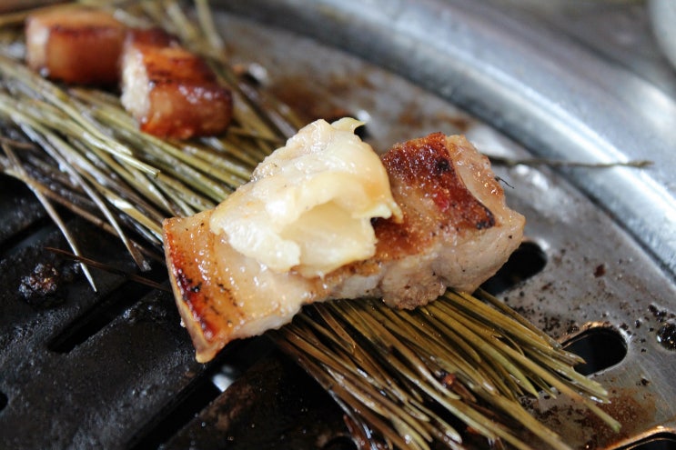  제주의 건강한 먹거리를 즐길 수 있는 제주 오설록 맛집