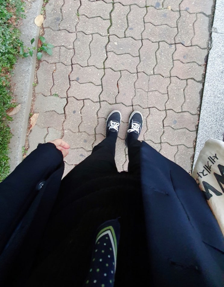  오늘의 일상 빠른 포스팅