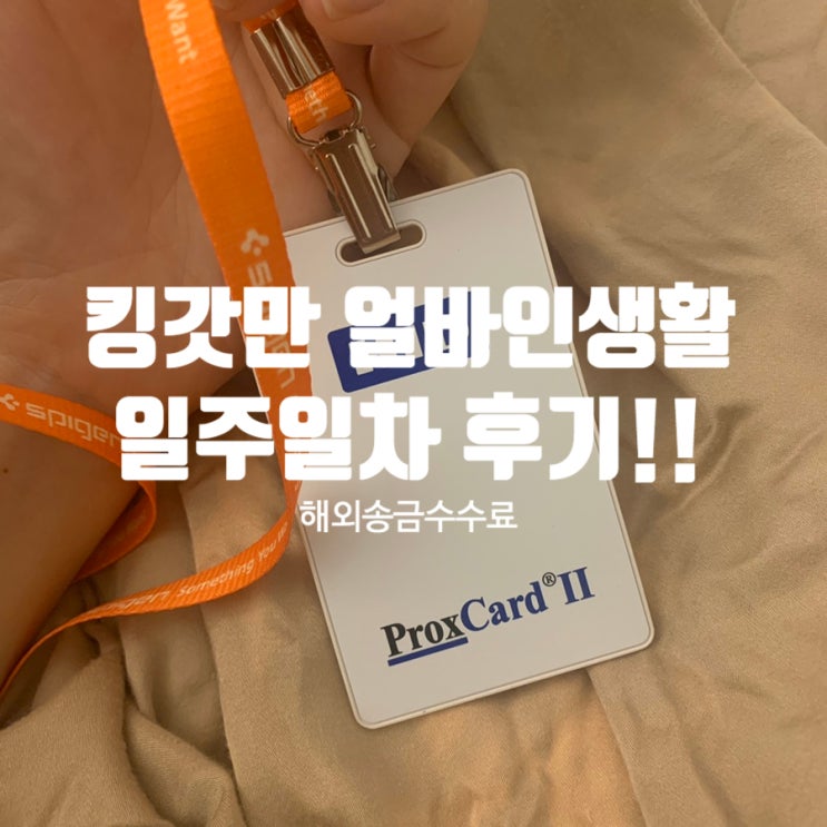  미국 얼바인 인턴 생활 일주일차 후기!!(해외송금수수료, H마트 장보기)