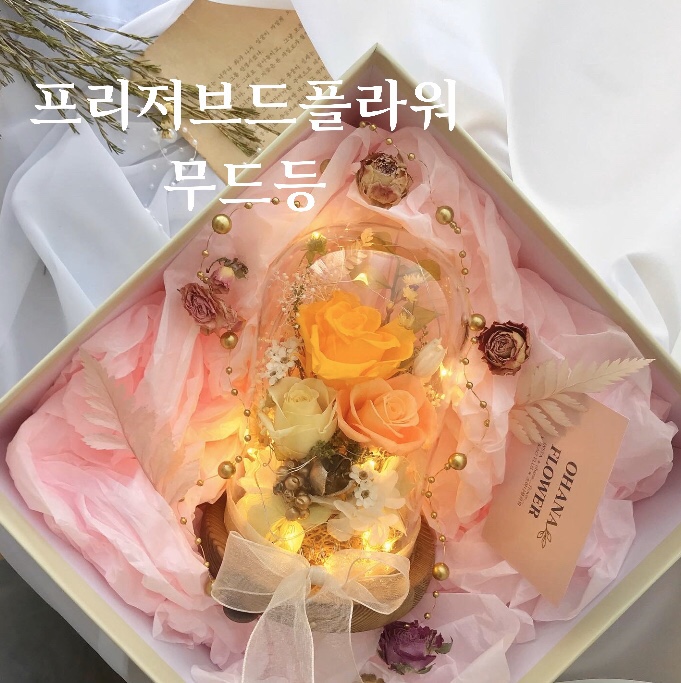  [부산프리저브드플라워]  은은하게 빛나는 옐로우톤의 플라워유리돔 : 부산 수영 광안 프리저브드플라워 전문 스튜디오 오하나플라워