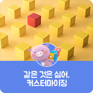  [Trendy 신협] 같은 것은 싫어, 커스터마이징
