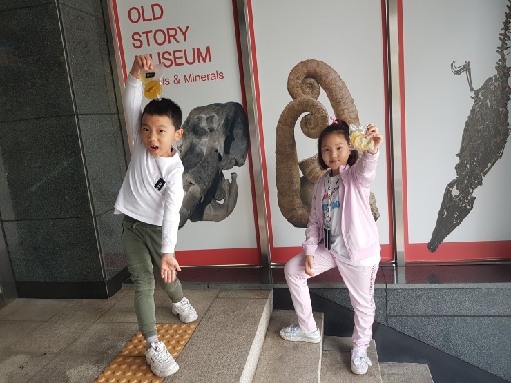  화석 광물 전문박물관 올드스토리뮤지엄  전시해설도 듣고 호박비누만들기 체험도 해요