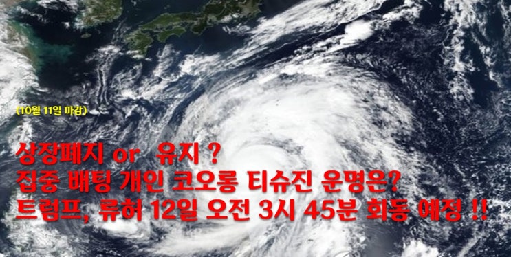  (10월 11일 마감)  상장폐지 or 유지 ? 집중 배팅 개인 코오롱 티슈진 운명은? 트럼프, 류허 12일 오전 3시 45분 회동 예정 !!