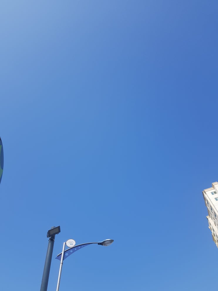  어제랑 오늘 날씨 완전 다르네요