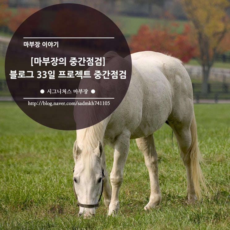  [마부장의 중간점검] 블로그 33일 프로젝트 중간점검