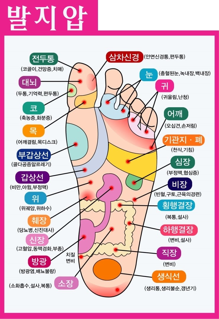 발지압방법 지압판 표를 참고로 혈자리를 지압해주면 효과가 뛰어납니다. : 네이버 블로그