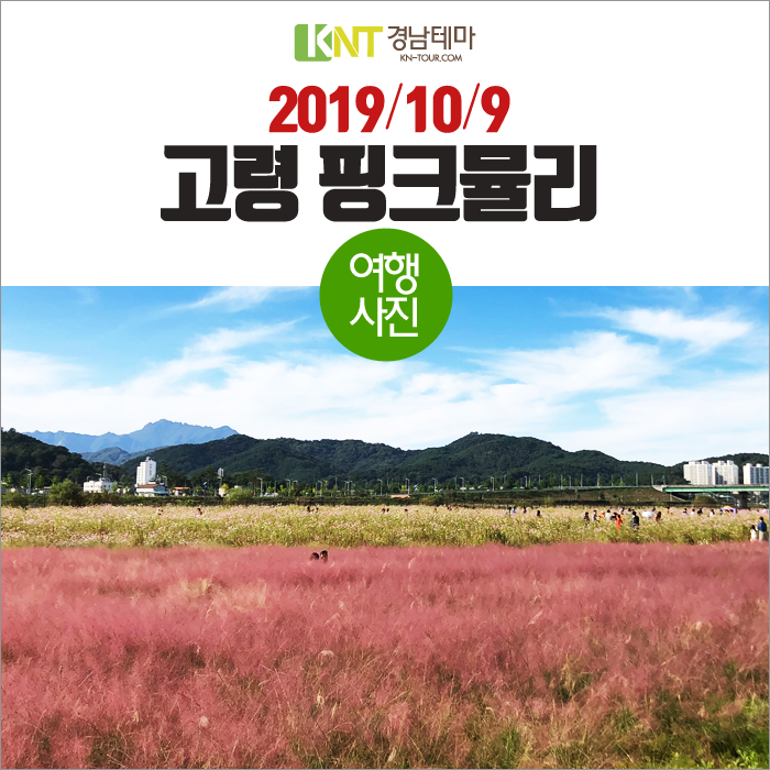  고령여행,고령핑크뮬리,핑크빛물결,왕릉전시관,대가야여행