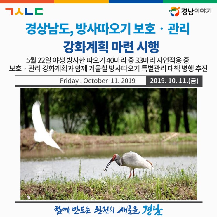  경상남도, 방사따오기 보호‧관리 강화계획 마련 시행