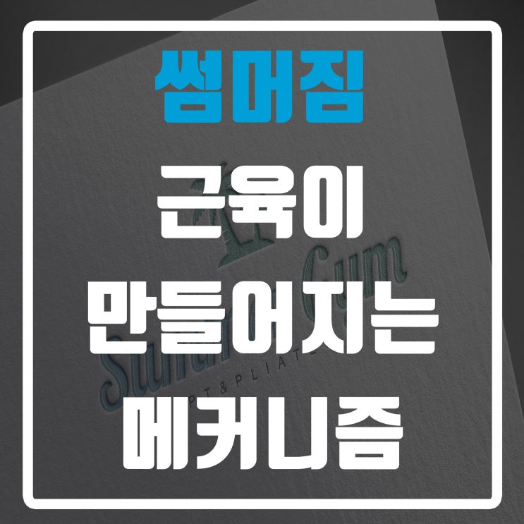  서초피티 썸머짐, 근육이 만들어지는 메커니즘