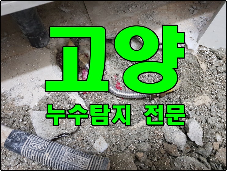  화정동 누수탐지 행신동 화장실 방수 부영 아파트 난방 배관 누수