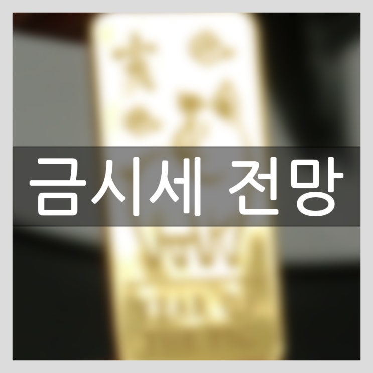  금시세 전망과 흐름 알아보고 골드바 50g 상품 확인해보세요.