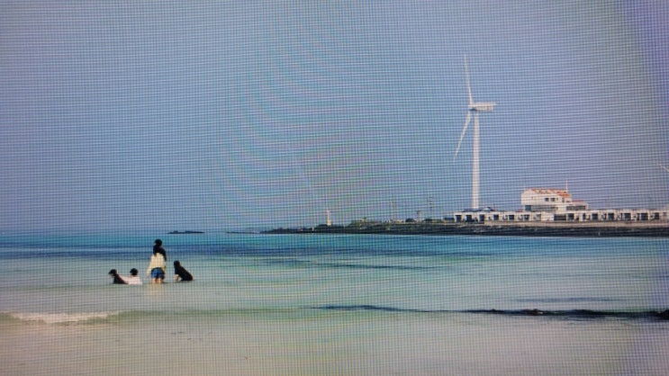  한국의 몰디브 제주 구좌읍 월정리 해변 지정 해수욕장으로 추진