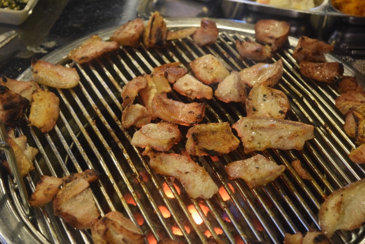  관양동 맛집 가봅시다 커먼커몽