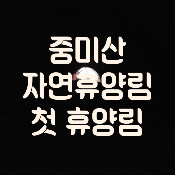 캠핑일기12. 중미산 휴양림에서 버티기  `ε´ 