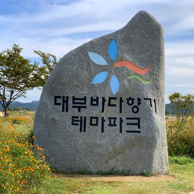  10월 9일 : 대부도에 오빠랑 드라이브겸 데이트