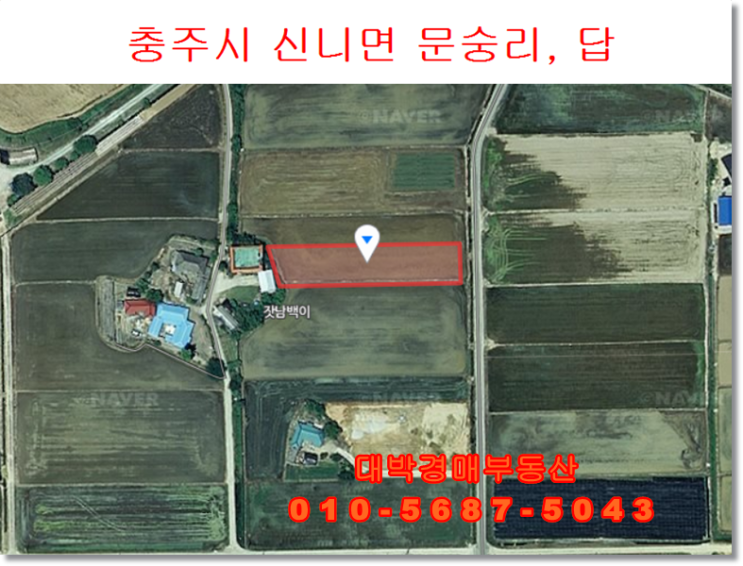  충북경매 충주 신니면 문숭리 토지경매 대박경매부동산 논 밭