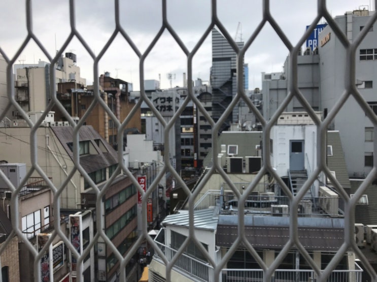  [여자혼자도쿄] 시부야 미도리스시, 스크램블교차로, 스타벅스, 엑셀 호텔 도큐, 시부야에서 나리타로 리무진버스, 나리타공항 면세점 10DAY