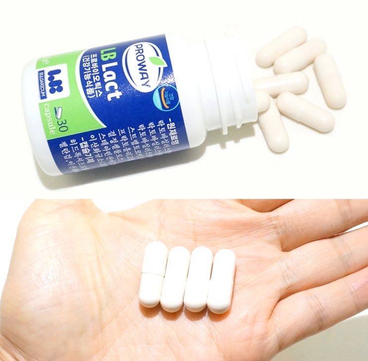  락토바실러스 가세리 좋네요.