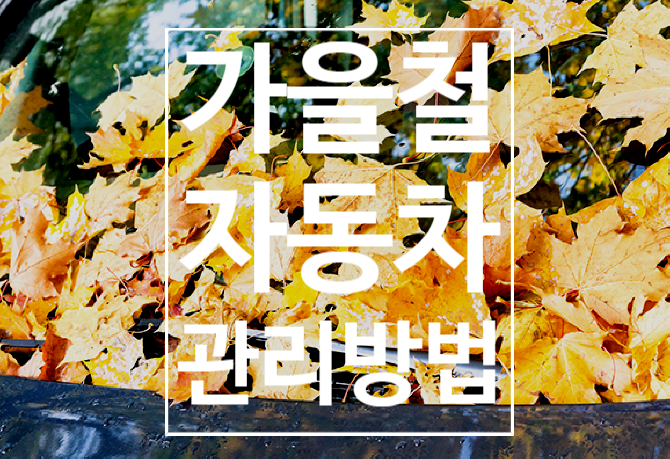  자동차 가을철 관리 방법 알아보기