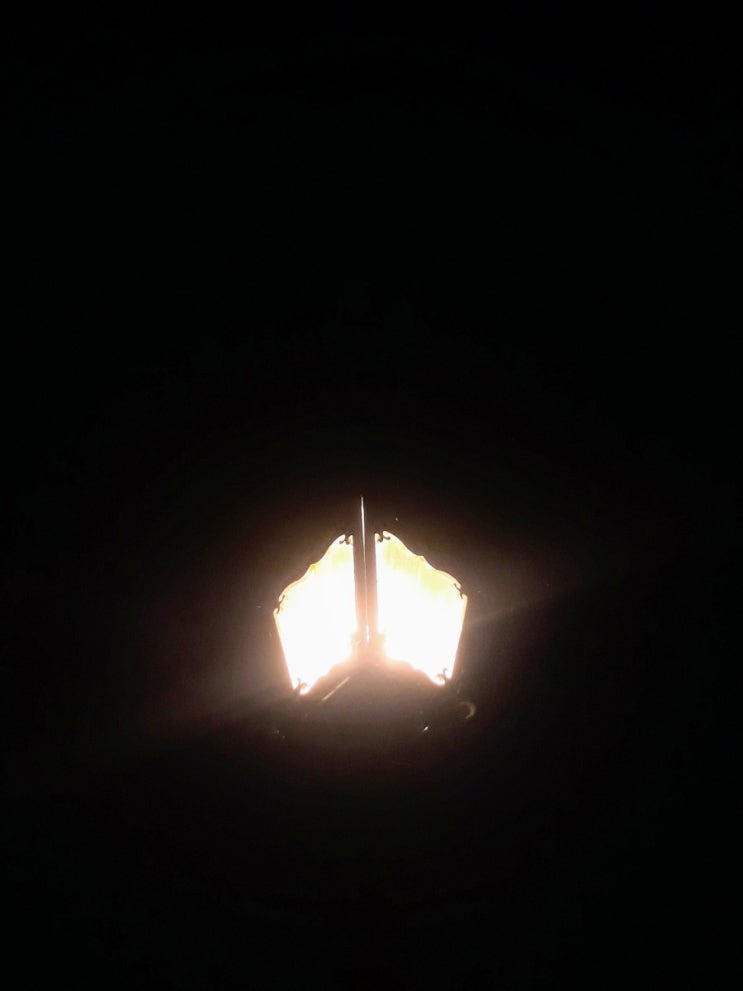  .오늘