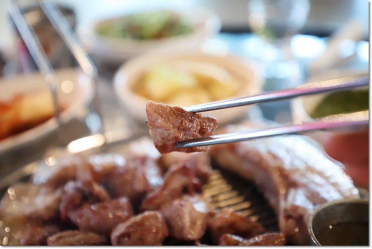  송악산 맛집 흑돼지 돈고팡 제대로닷!