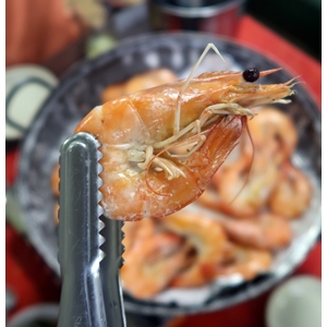  광양 중마동 중마시장 대하구이 먹부림 딱이야