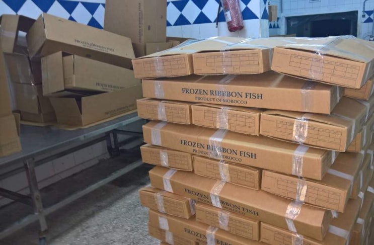  수입 갈치 : 아프리카 모로코 은갈치 사이즈별 구매 가능 / 아프리카 은갈치 수입 / 냉동 갈치 수입 / 아프리카 갈치 소도매
