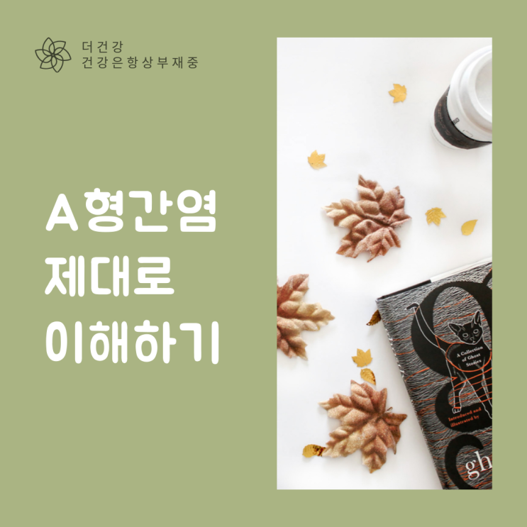  [A형 간염] 제대로 이해하기
