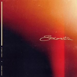  [음악추천] Camila Cabello & Shawn Mendes - Señorita(Senorita) [가사/해석/뮤직비디오]