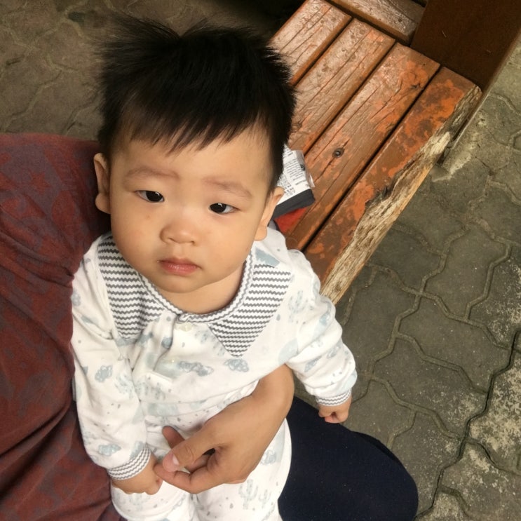  생후 382일
