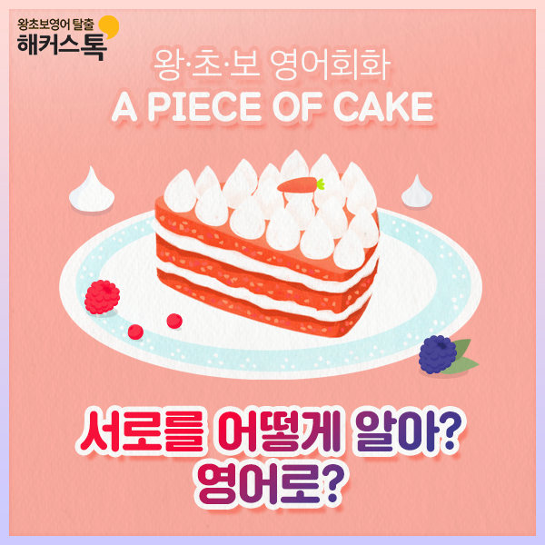  성인영어기초 서로를 어떻게 알아? 영어로?