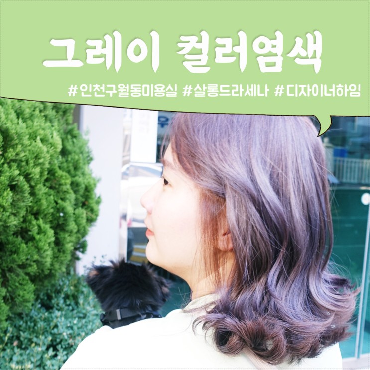 인천 구월동 미용실 살롱 드라세나 하임쌤 그레이 컬러 염색 후기