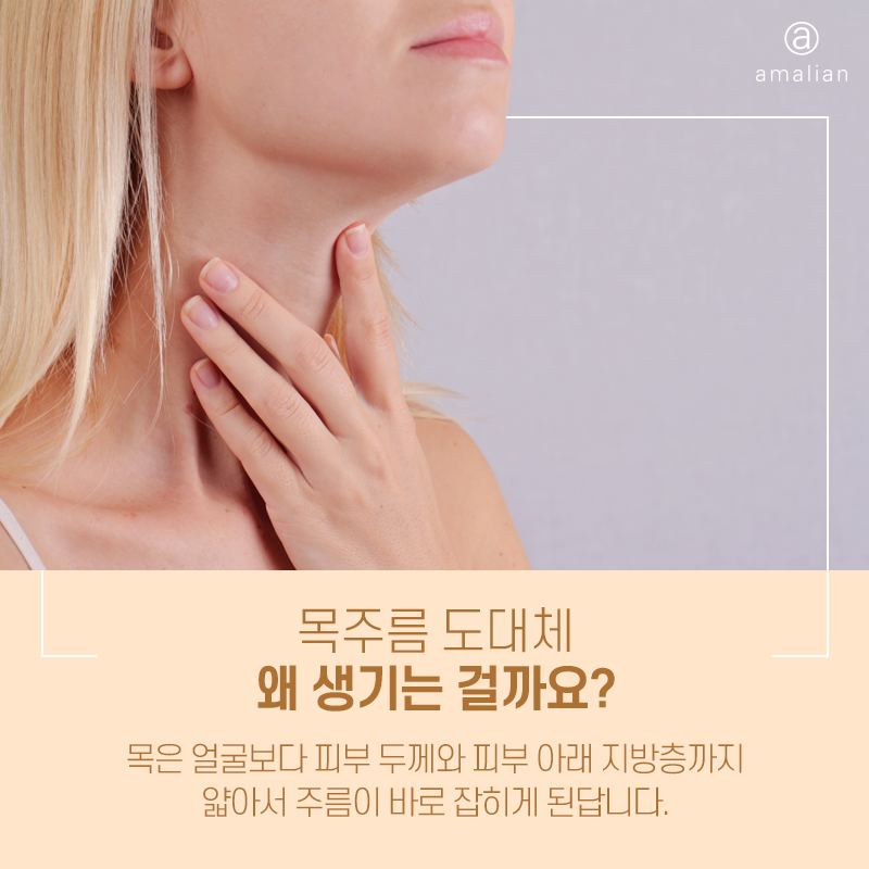 주름관리 이젠 목도 필수! | 목주름 6